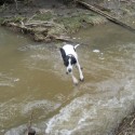 website pic of Buster